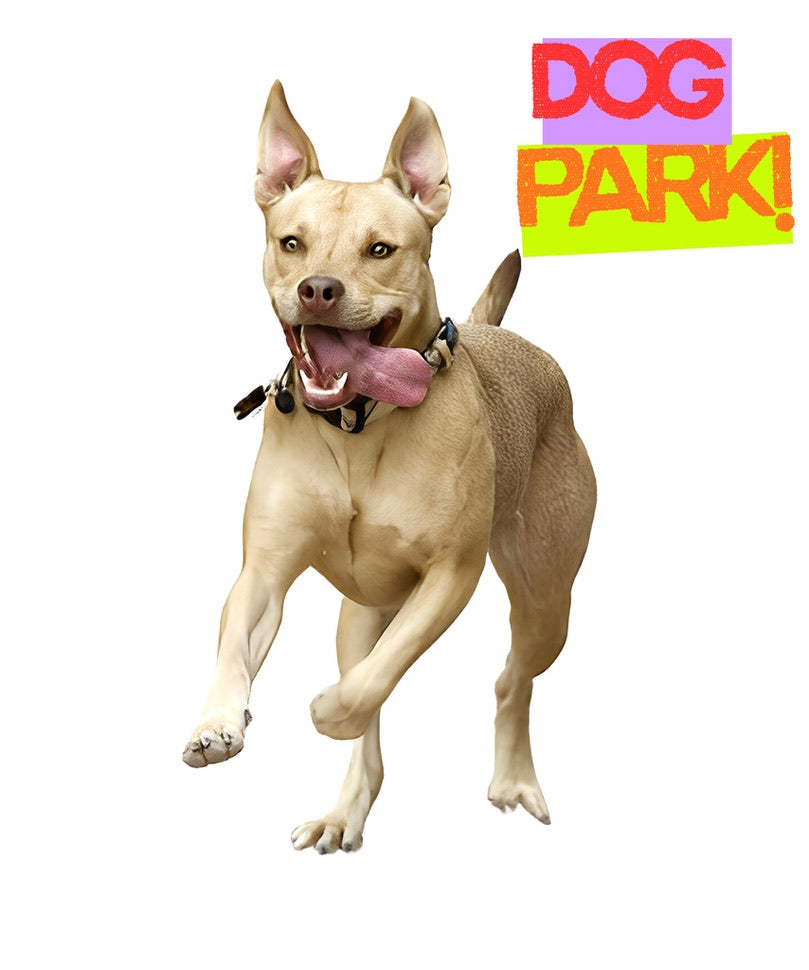 DOG PARK