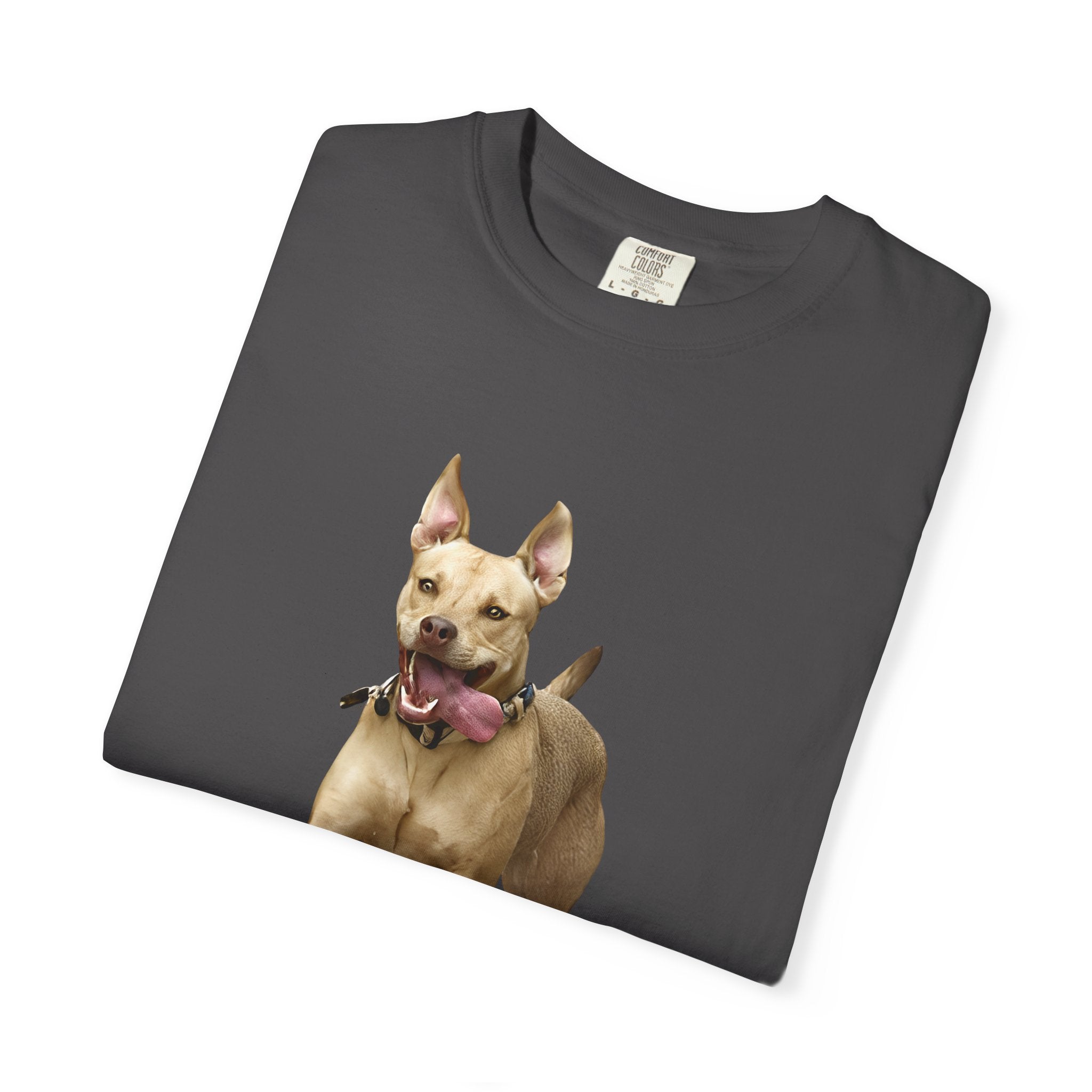 Dog Park Unisex Garment-Dyed T-shirt