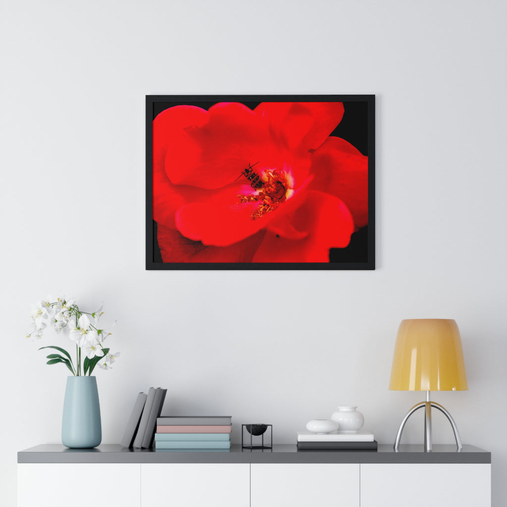 Framed Red Rose Wall Art Poster