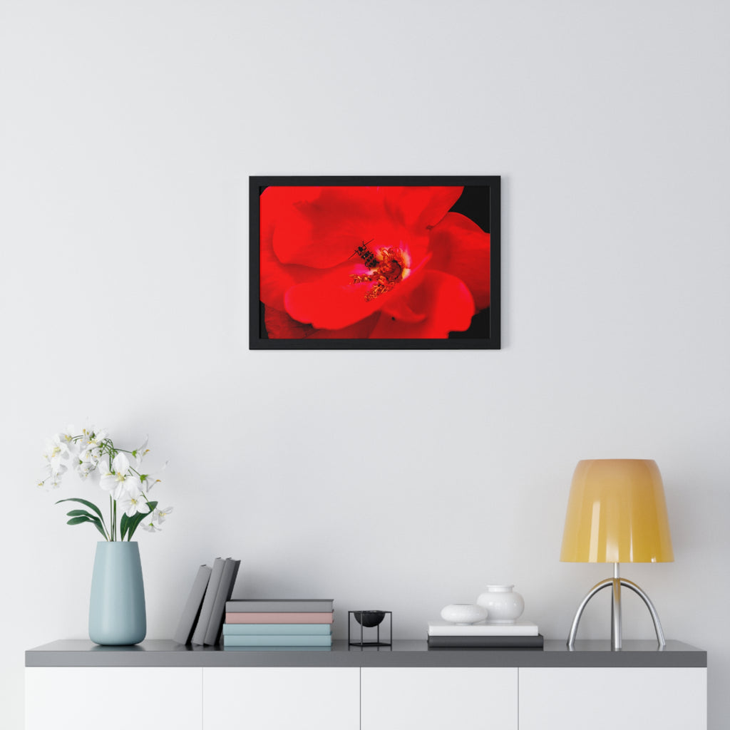 Framed Red Rose Wall Art Poster