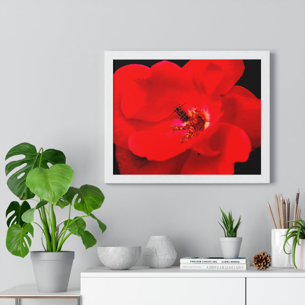 Framed Red Rose Wall Art Poster
