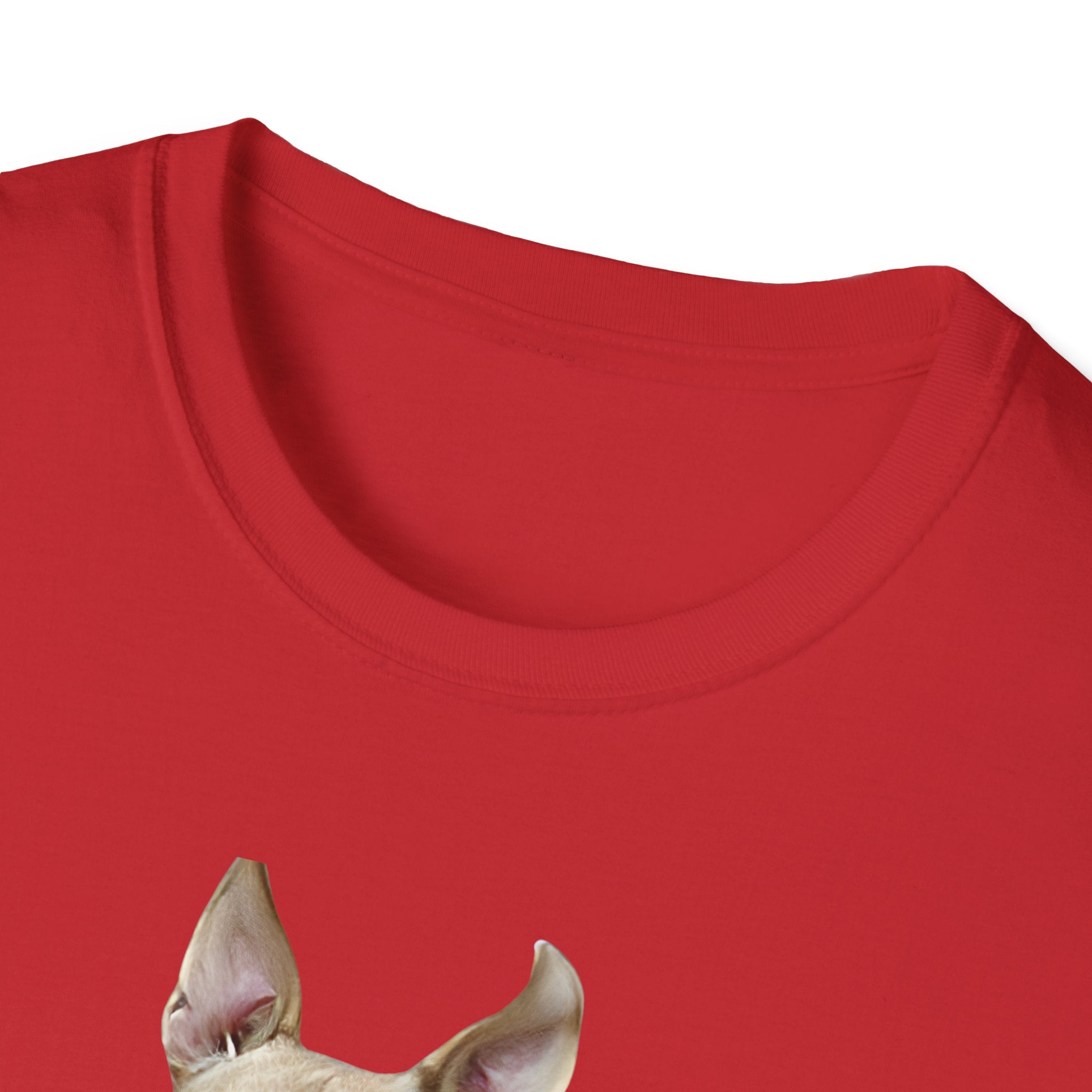 Dog Park T-Shirt, Fun Pet Lovers Tee, Unisex Animal Shirt, Gift for Dog Owners, Casual Everyday Wear