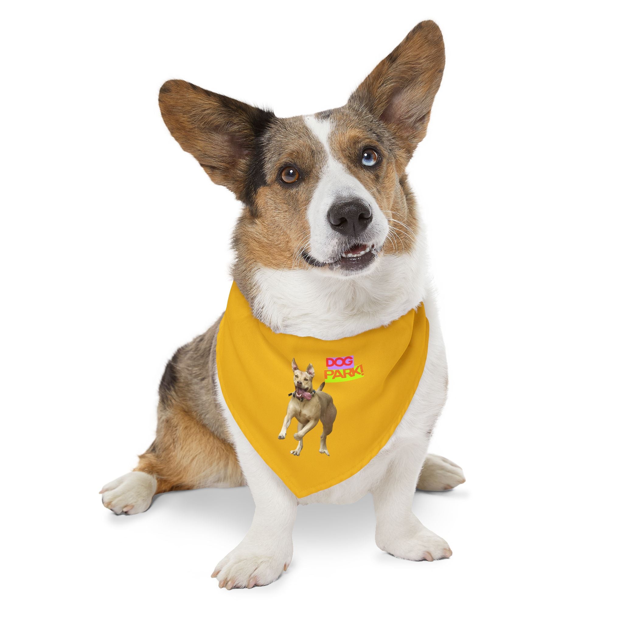Dog Park Pet Bandana Collar
