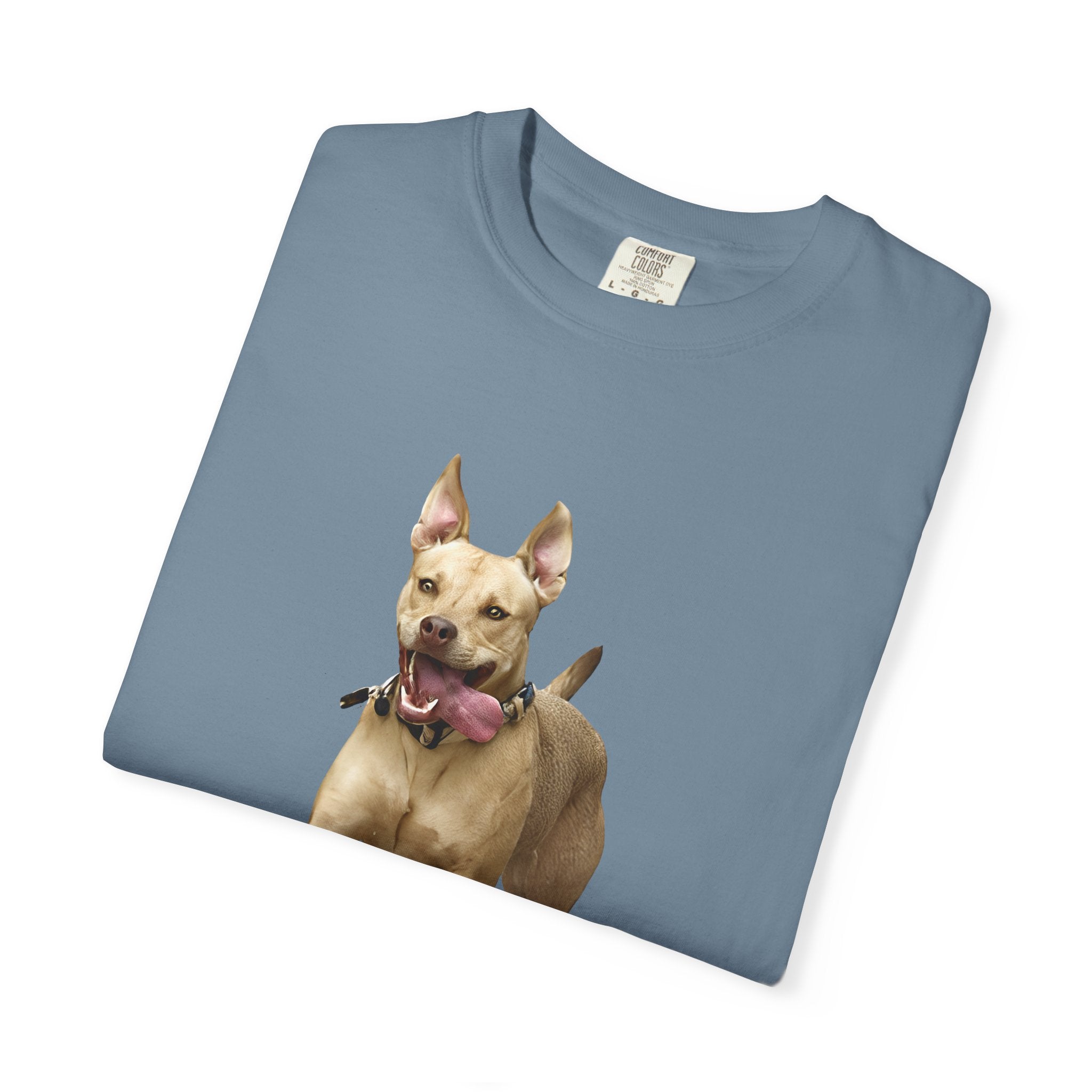 Dog Park Unisex Garment-Dyed T-shirt