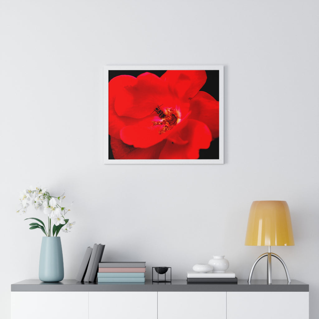 Framed Red Rose Wall Art Poster