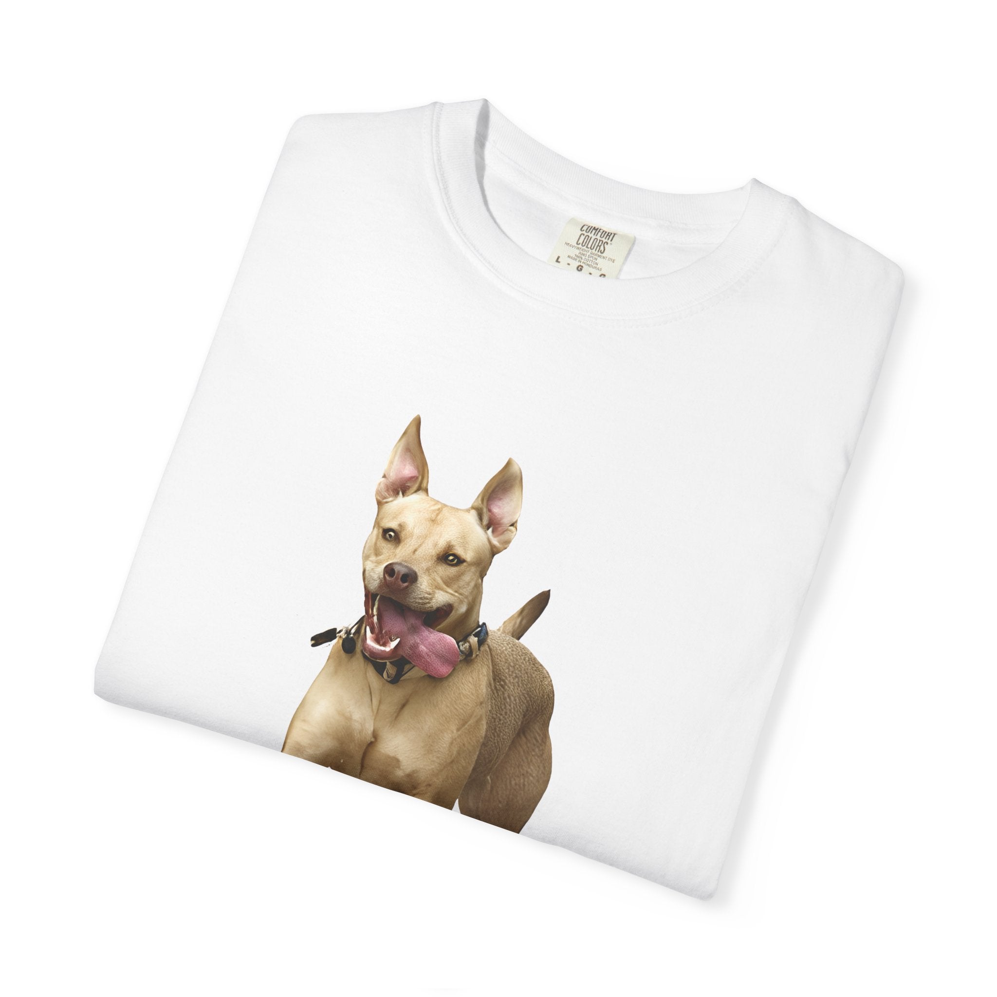 Dog Park Unisex Garment-Dyed T-shirt