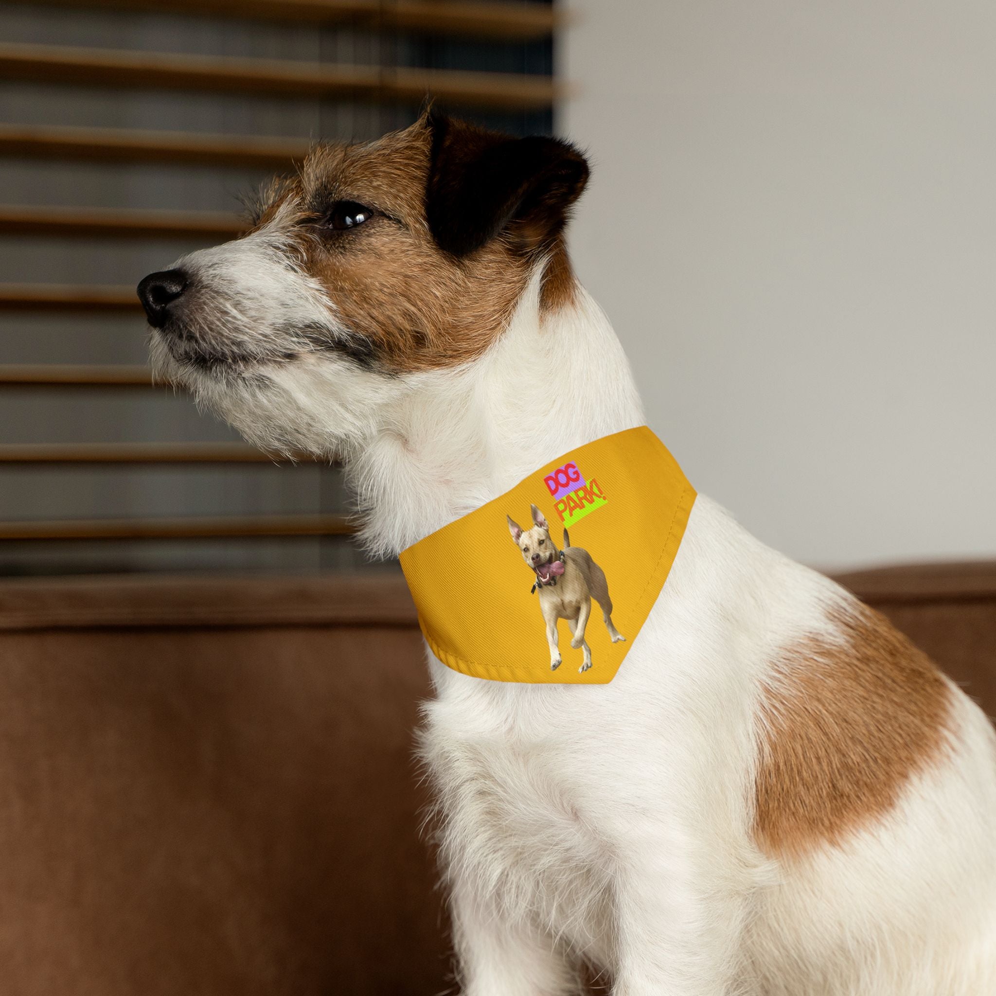 Dog Park Pet Bandana Collar