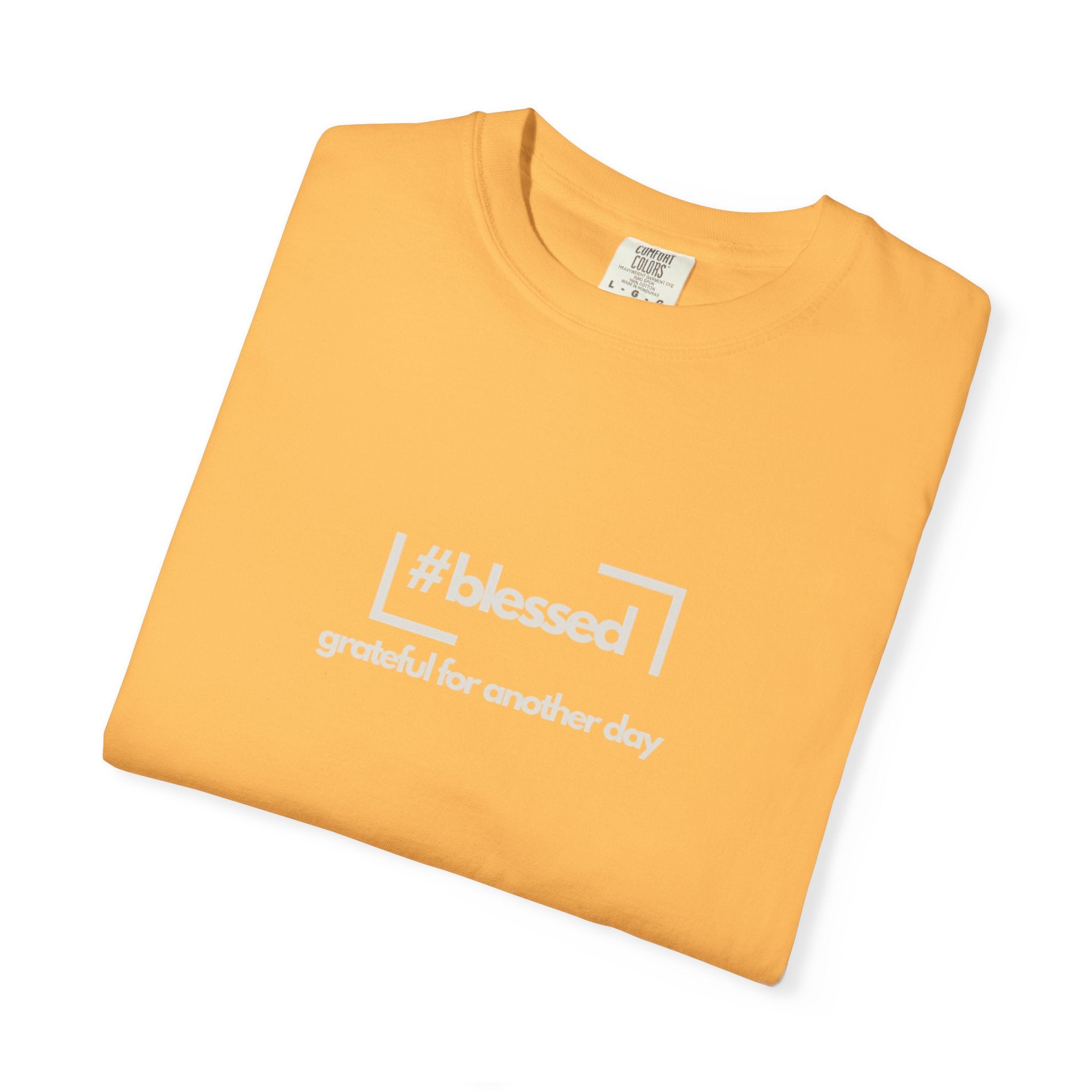 Blessed Hashtag T-Shirt — "#blessed grateful for another day" Casual Graphic Tee