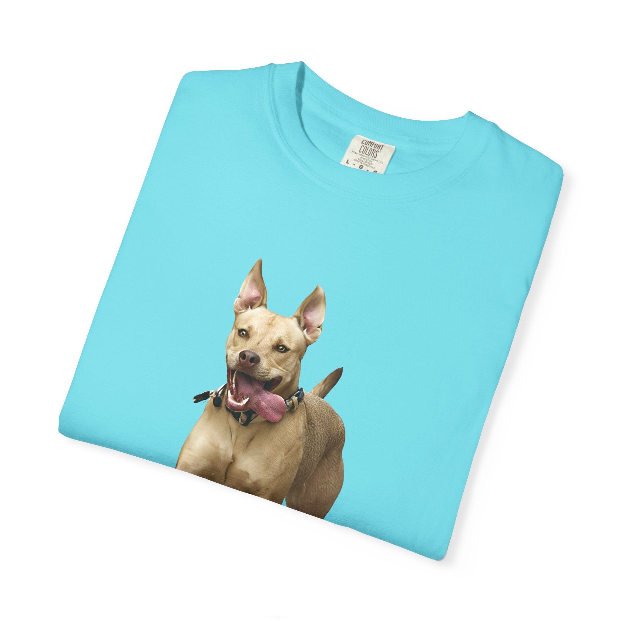 Dog Park Unisex Garment-Dyed T-shirt