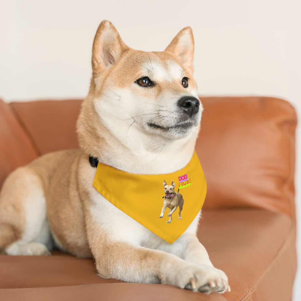 Dog Park Pet Bandana Collar