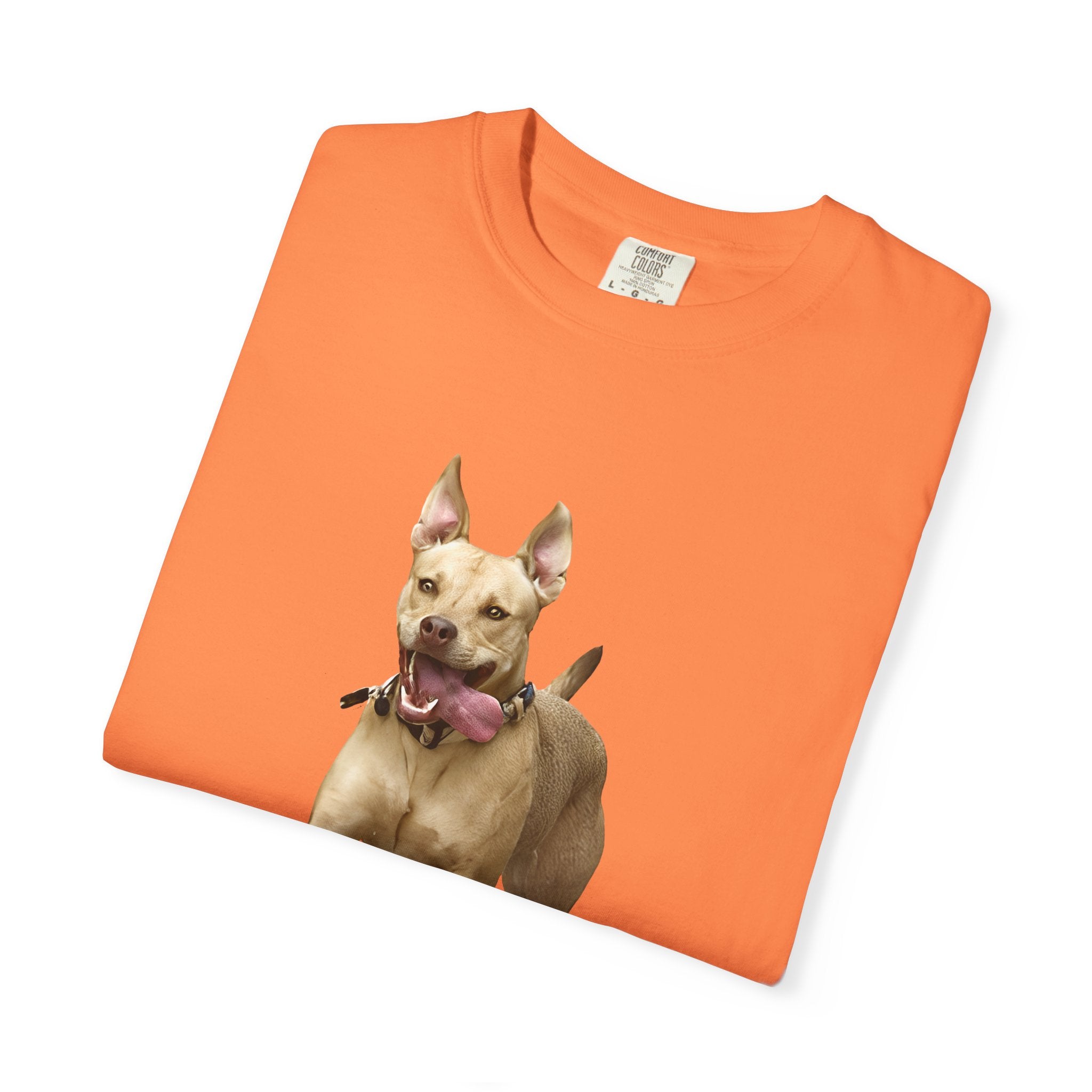Dog Park Unisex Garment-Dyed T-shirt