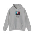 TV News Humor: Unisex Heavy Blend Hoodie