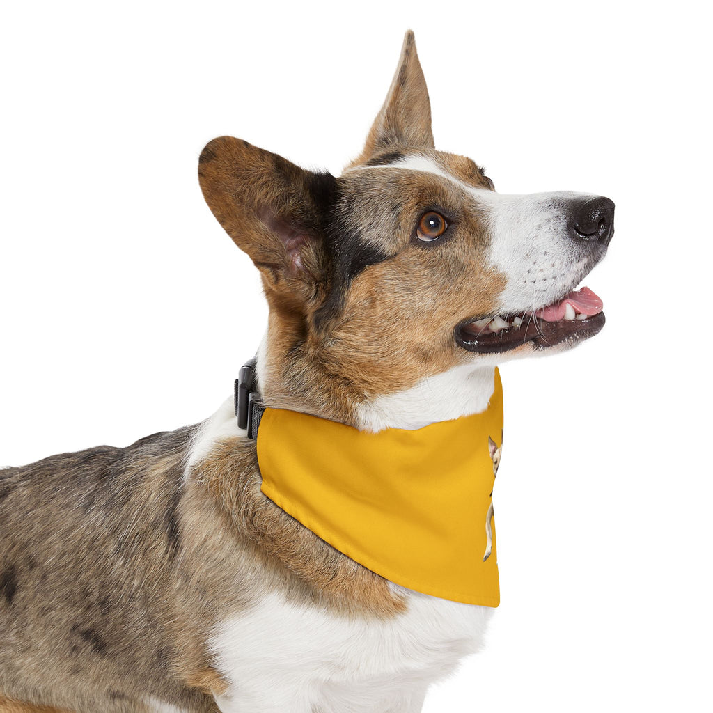 Dog Park Pet Bandana Collar