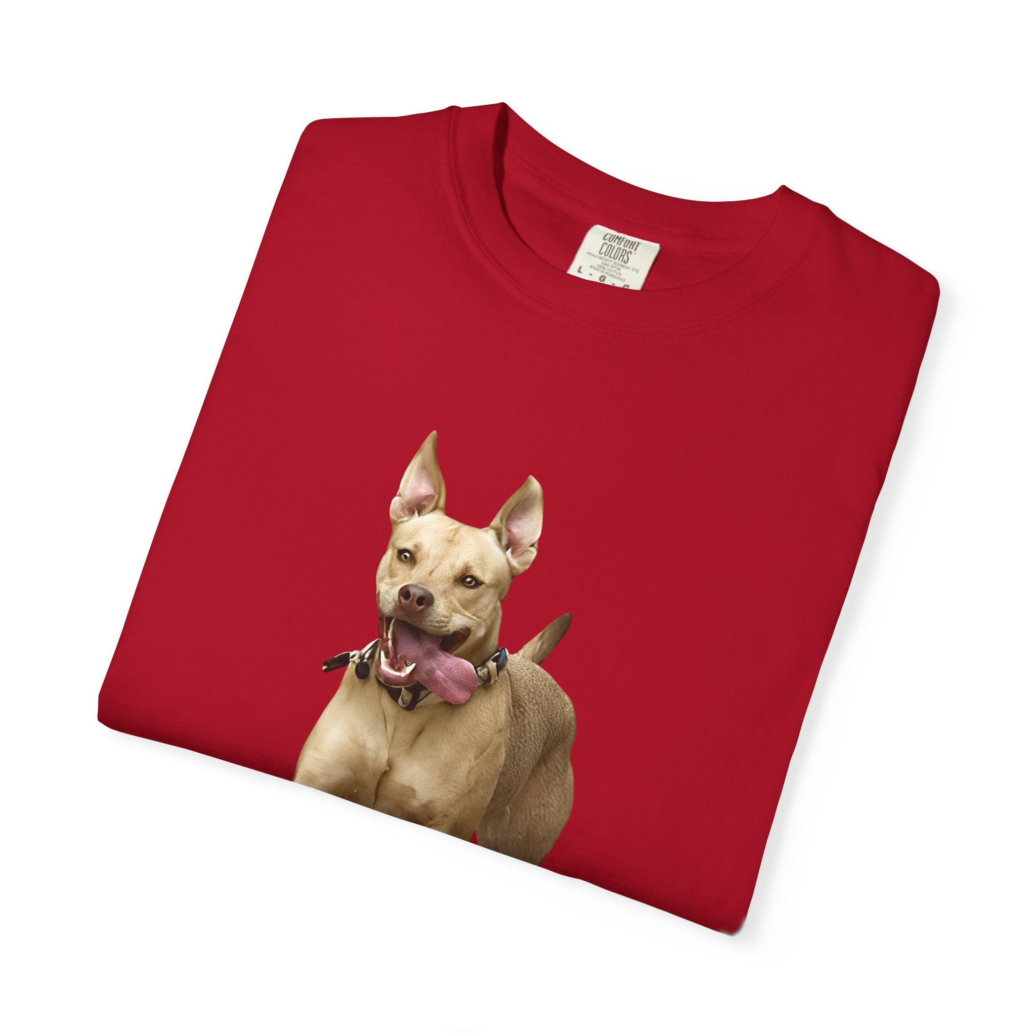 Dog Park Unisex Garment-Dyed T-shirt