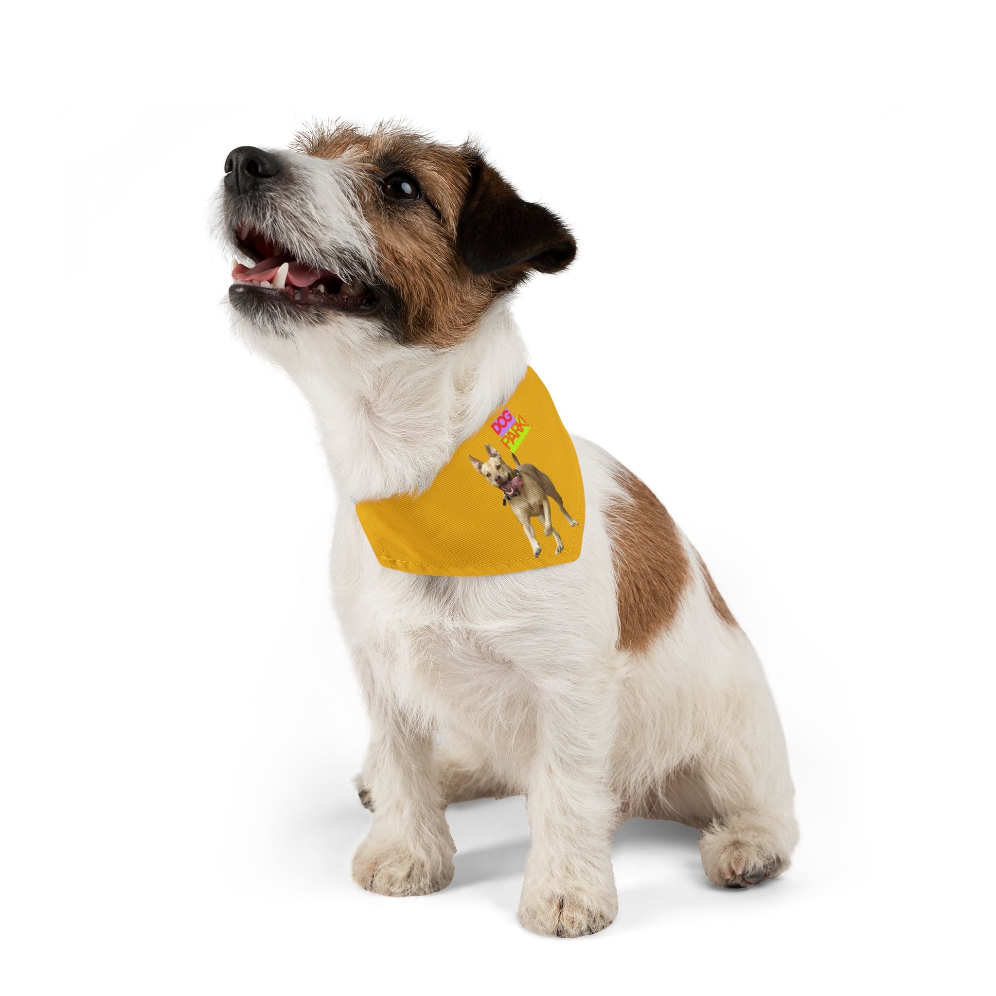 Dog Park Pet Bandana Collar